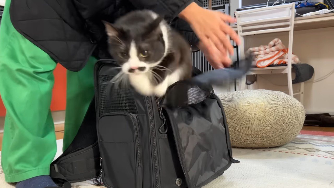 リュックからジャンプ