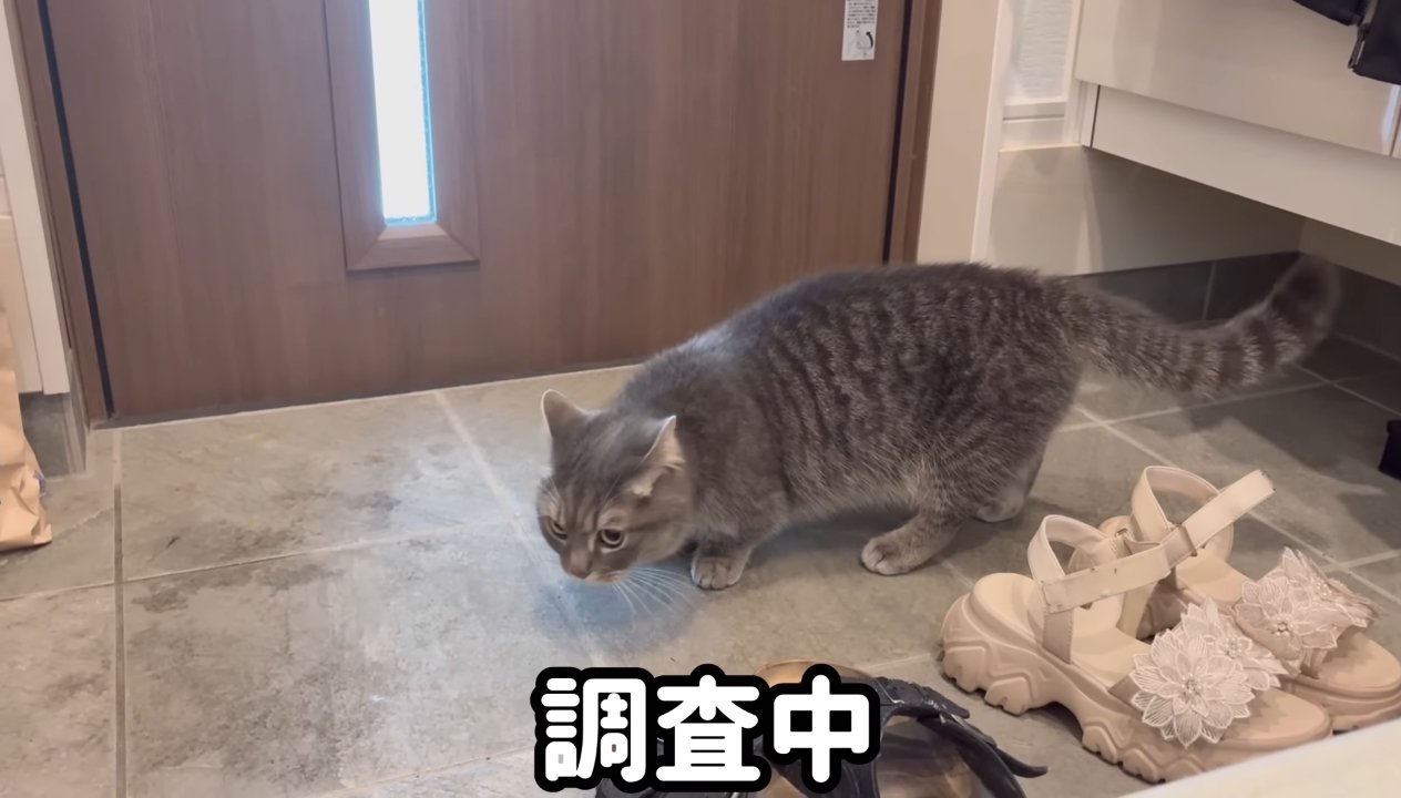 調査中