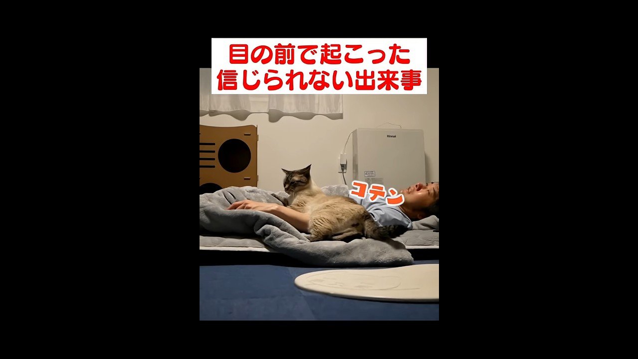 コテン