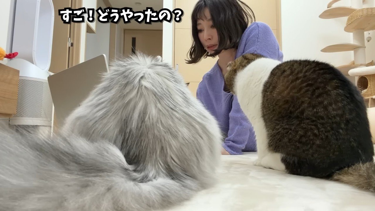 すご！どうやったの？