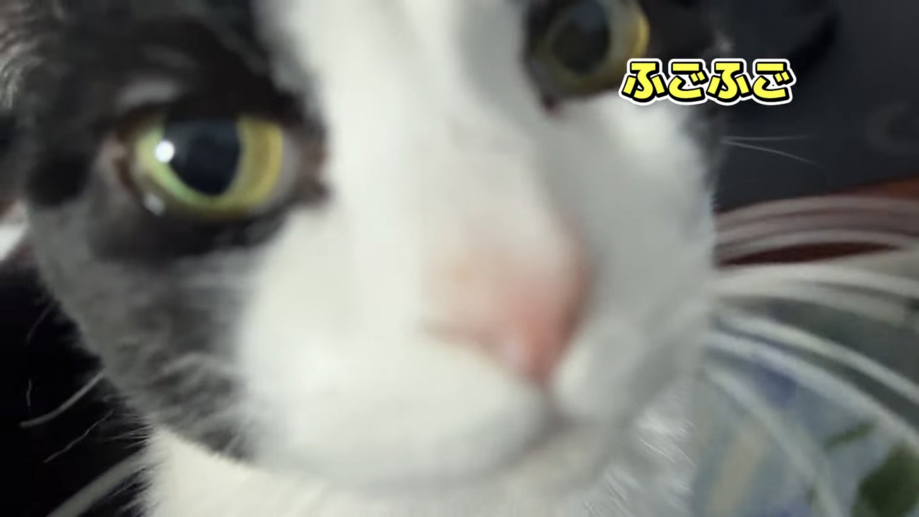 「ふごふご」のテロップ写真