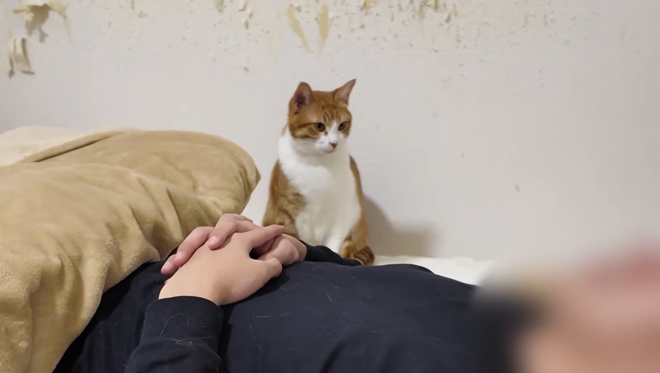 ガン見するはっさくくん