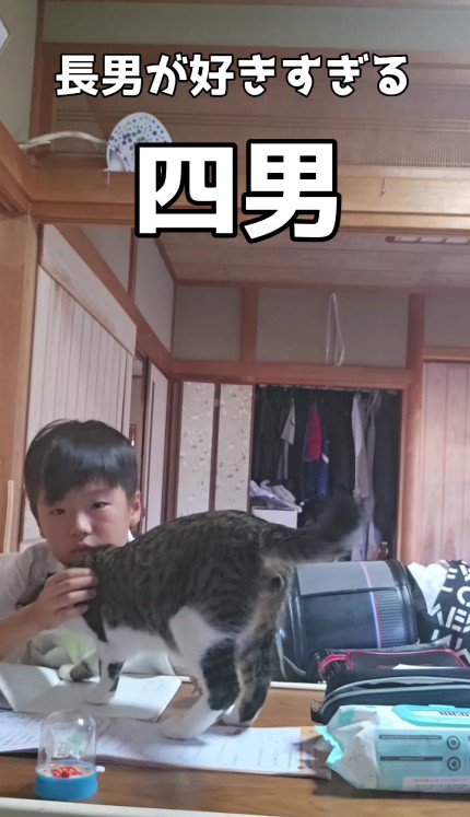 宿題をしている男の子と猫