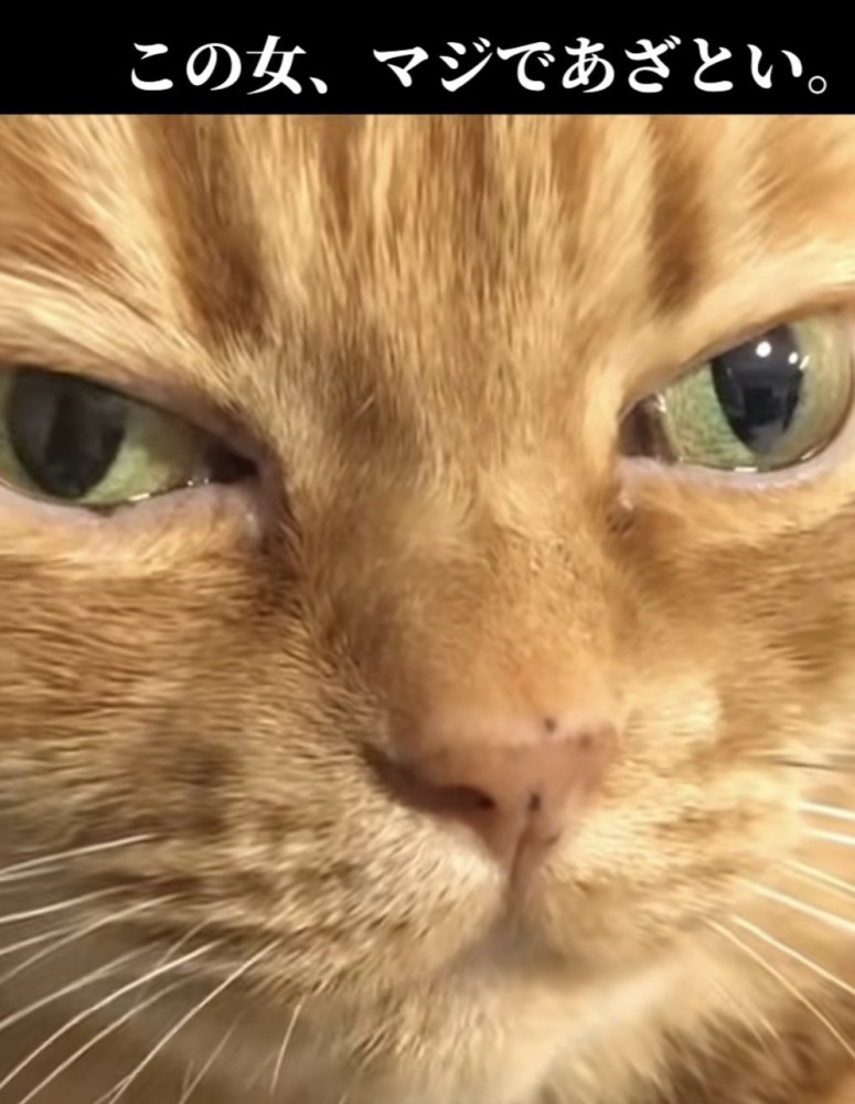 「この女、マジであざとい」のテロップ写真