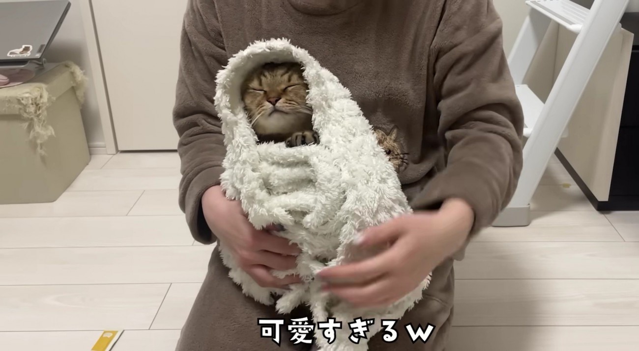 毛布から顔を出すみにらくん