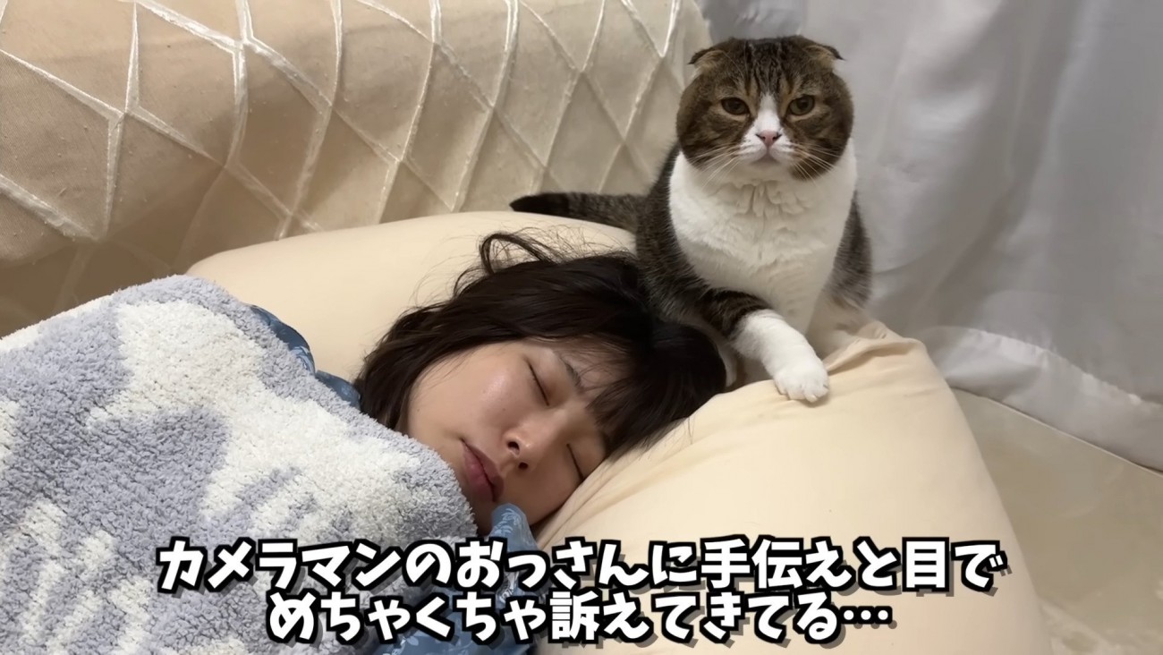 見つめるぽこ太郎くん