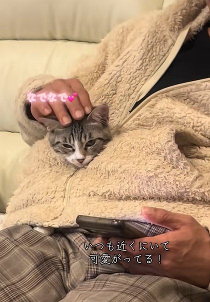 猫の頭をなでるお父さん