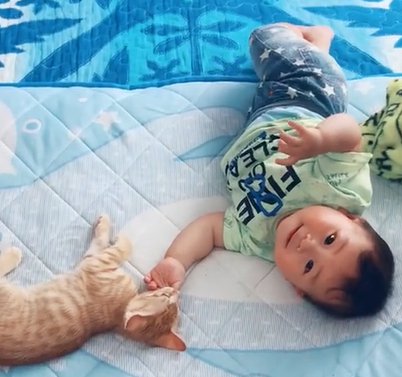 赤ちゃんの親指を咥える猫