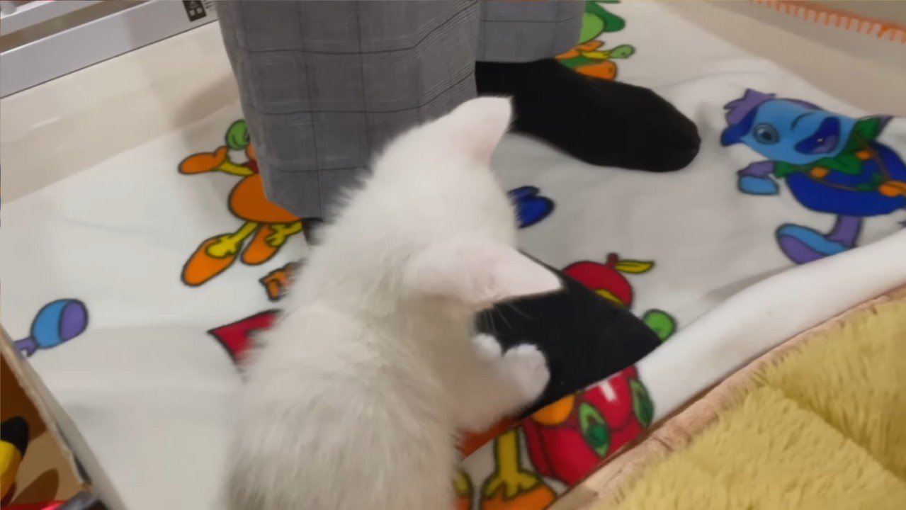 後ろ姿