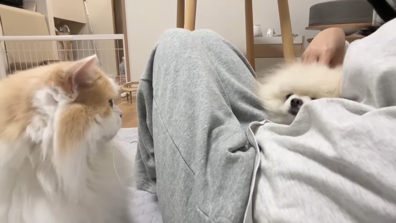 集合