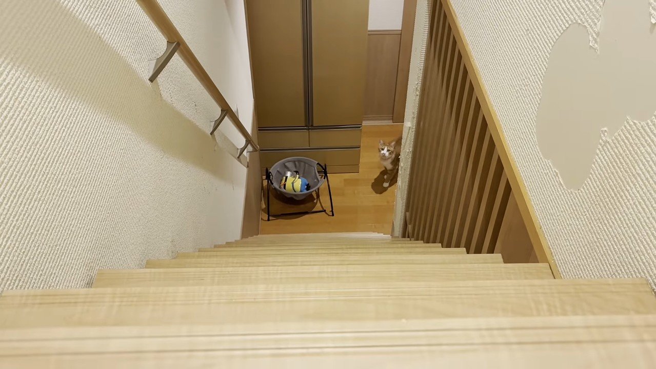 階段の下