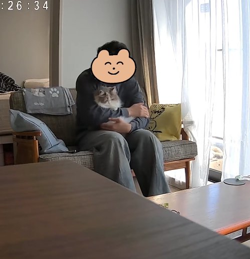 ソファに座って猫を抱っこしている男性（体真っ直ぐ）