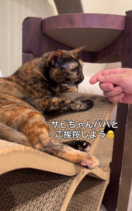 挨拶