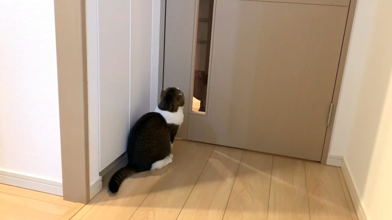 ドア越しに