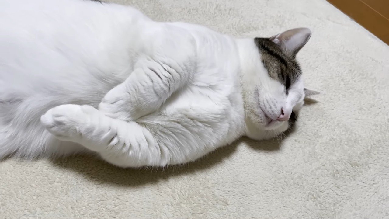 ひとり寝の少しアップ
