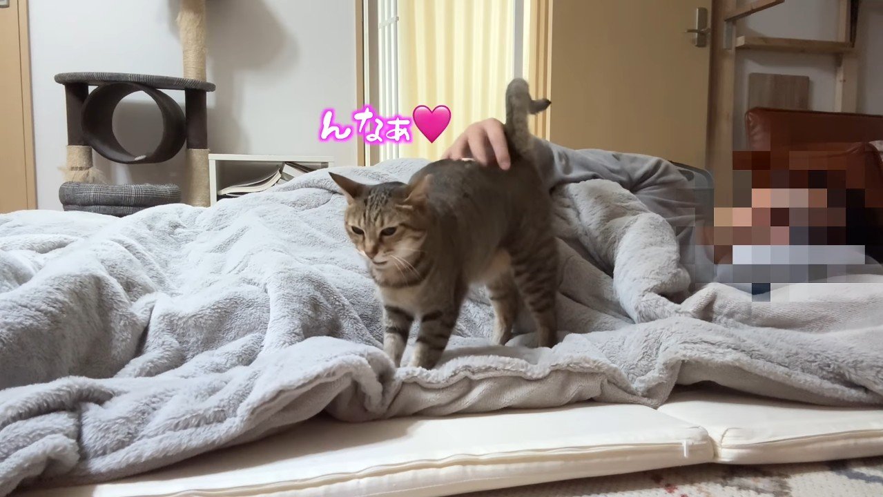 んなぁ♡