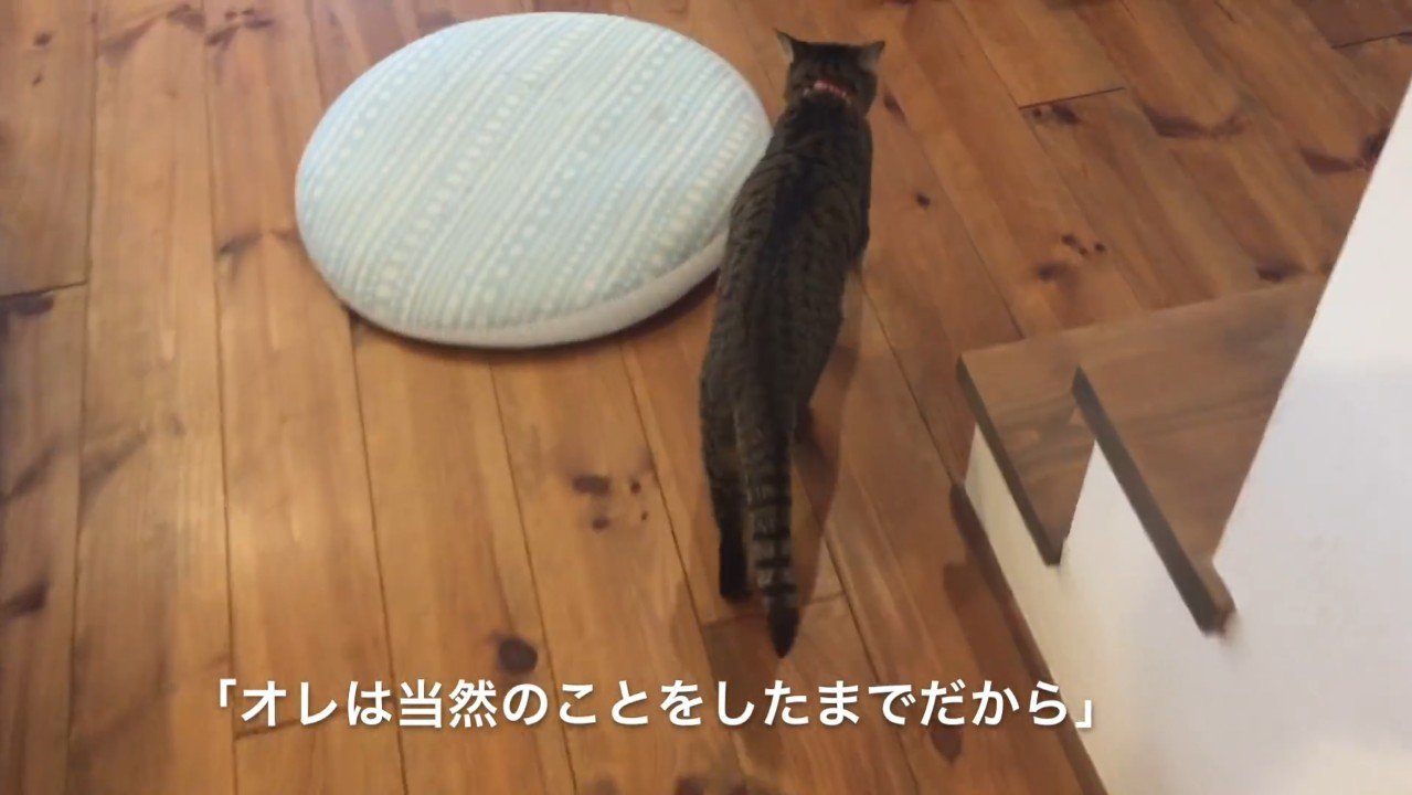 当然のことをしたまでだから