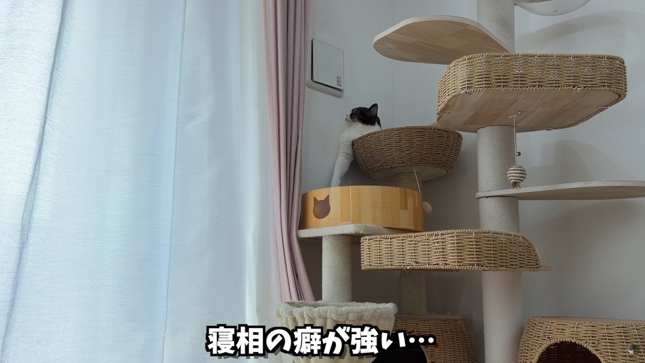 テロップ「寝相の癖が～」