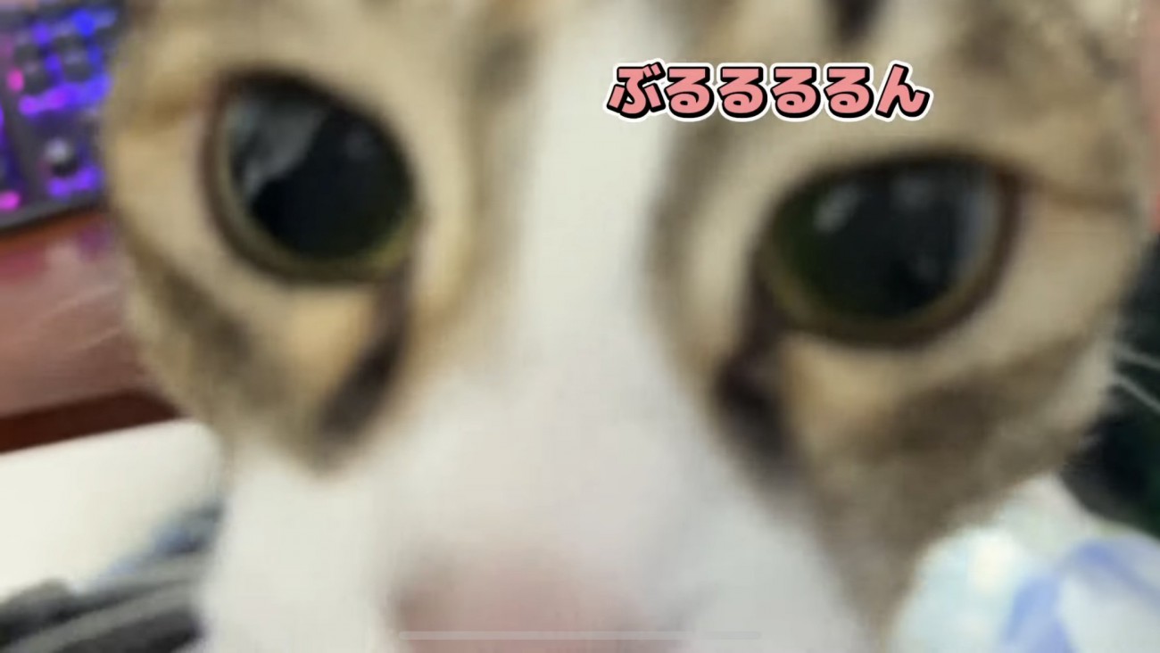 「ぶるるるるん」のテロップ写真