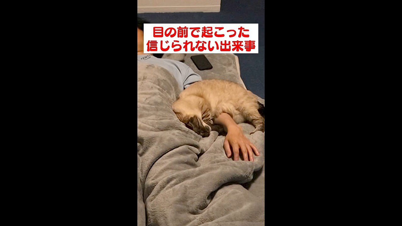丸まった姿
