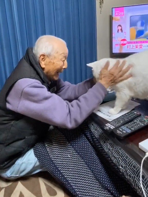 顔をなでられる猫