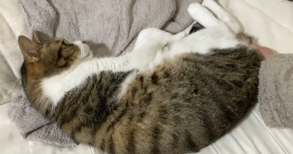 満足そうなミックくん