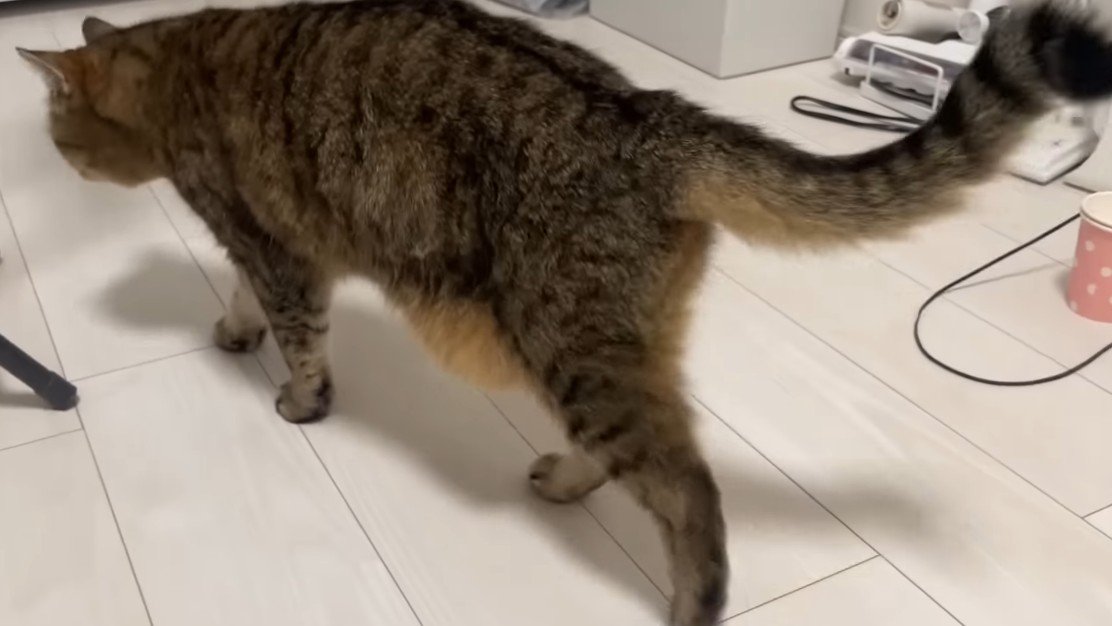 去って行く姿
