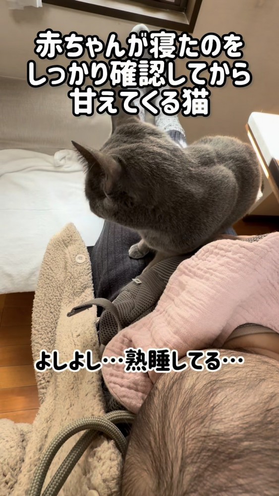 赤ちゃんを寝かすママの足の上に乗る保護猫