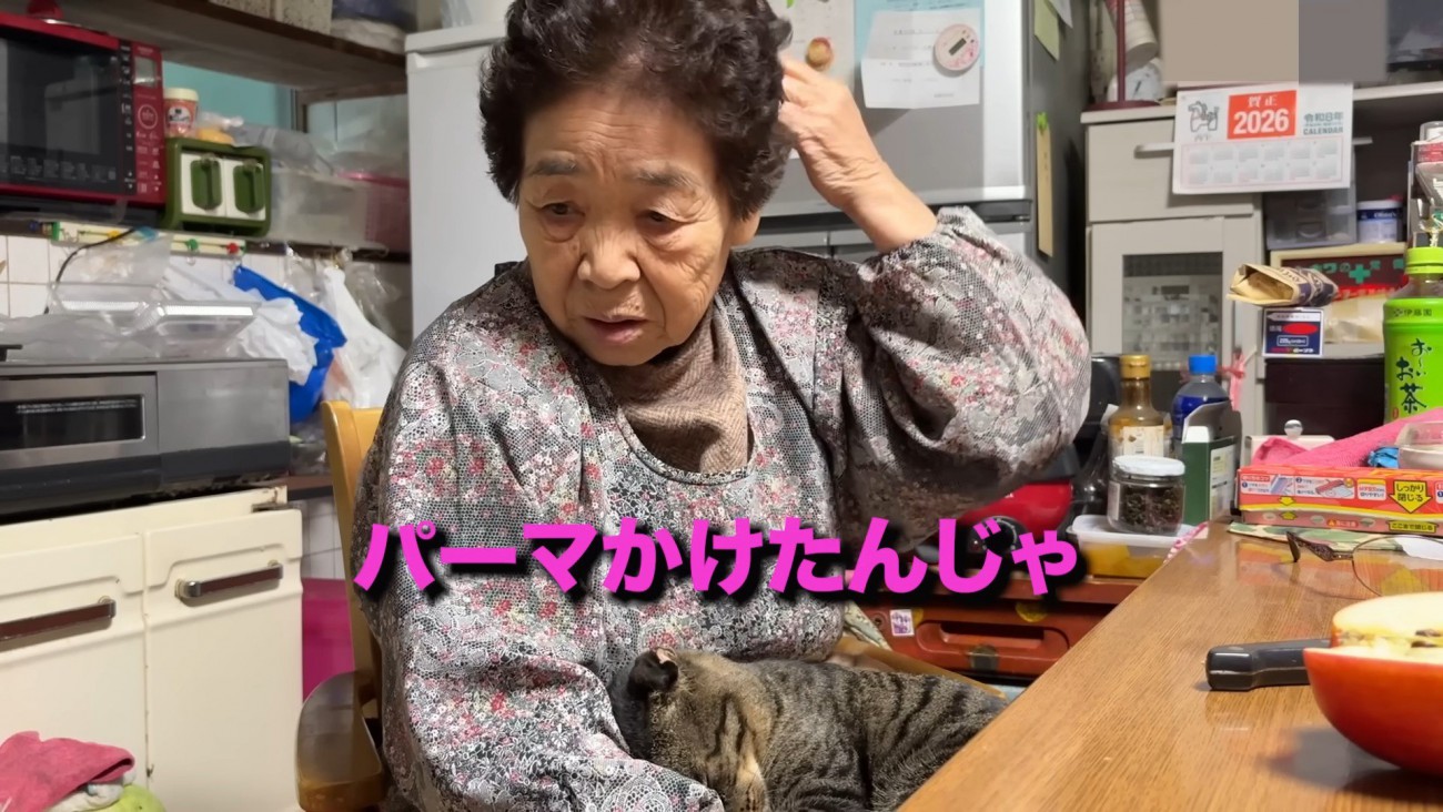 おばあちゃんと猫