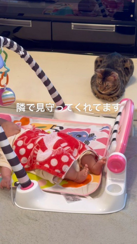 床に寝転がっている赤ちゃんのそばに座る猫