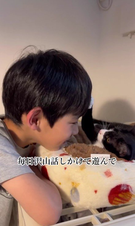猫に話しかける男の子