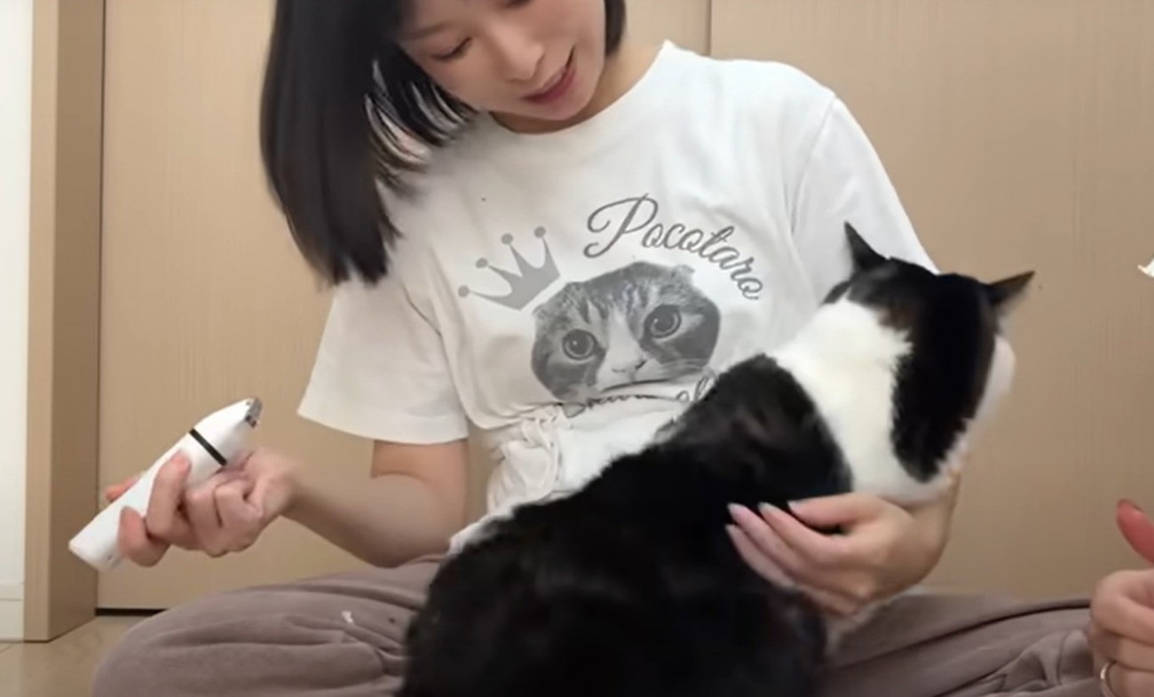 猫の様子