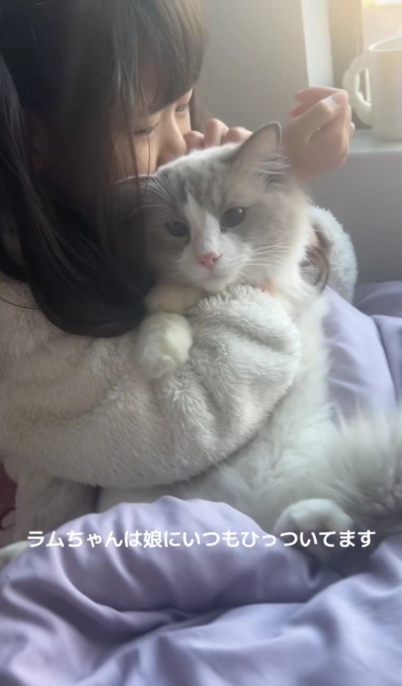 猫を抱きしめる女の子