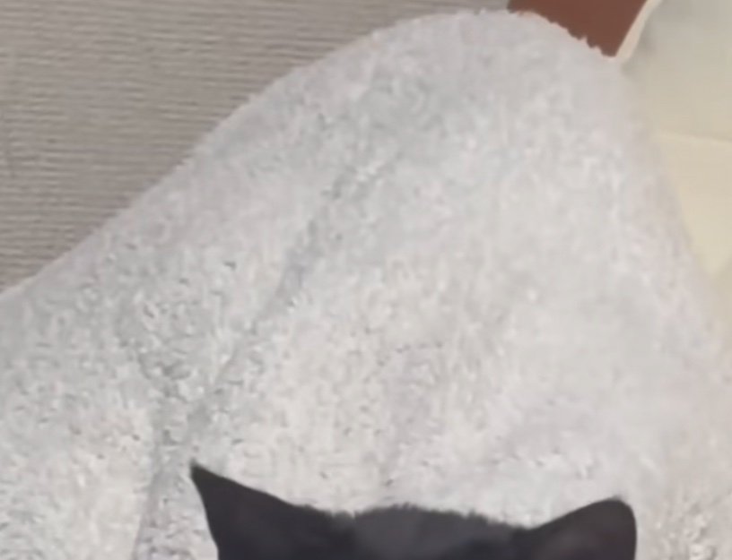 椅子の背もたれ