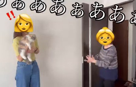 猫を抱っこする女性とおばあちゃん