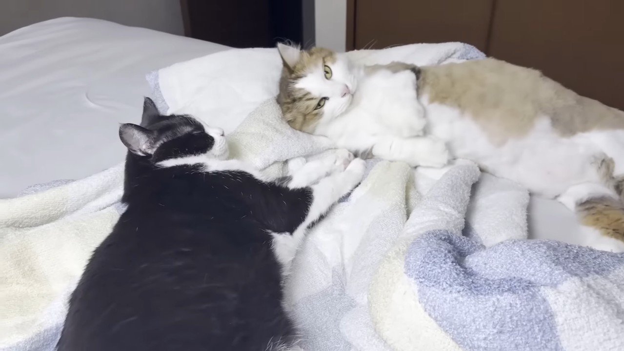 手を離して