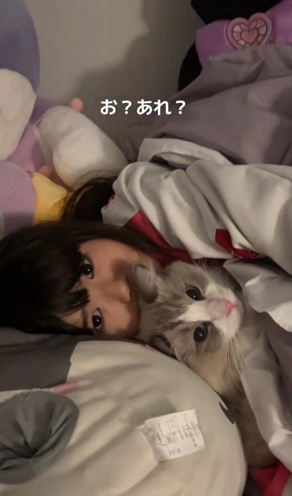 猫と寝る女の子