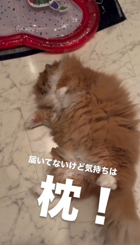 「届いてないけど…」と書かれた写真
