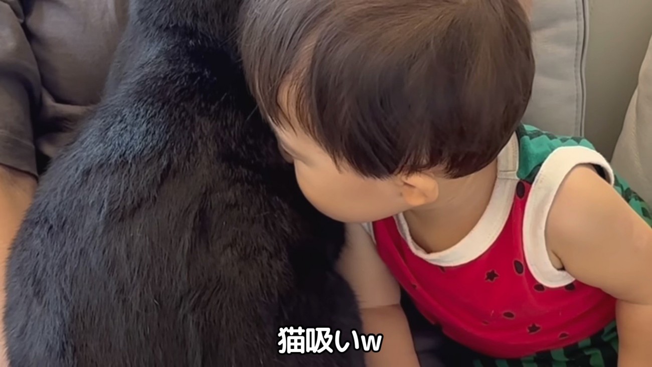 ネコ吸いする様子