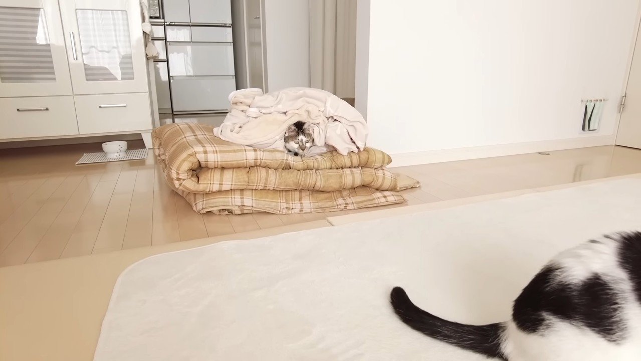 シーツに包まれた姿