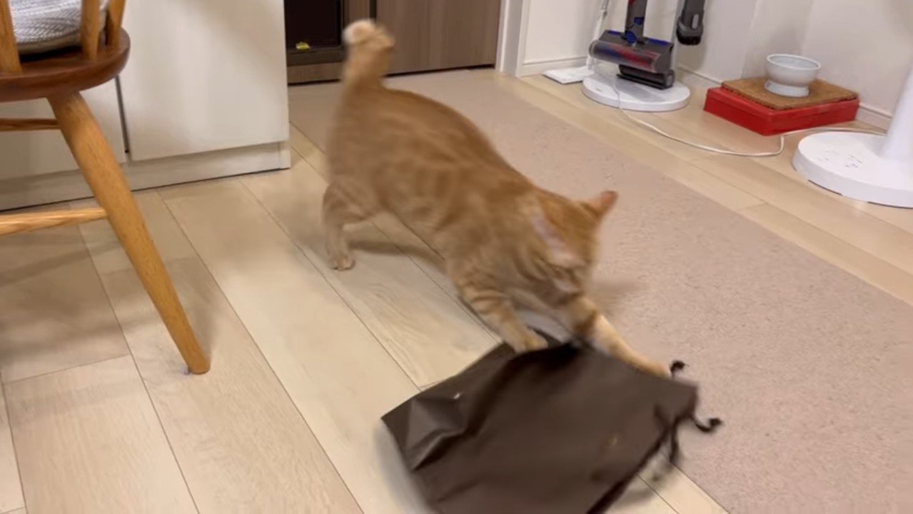 パンチ