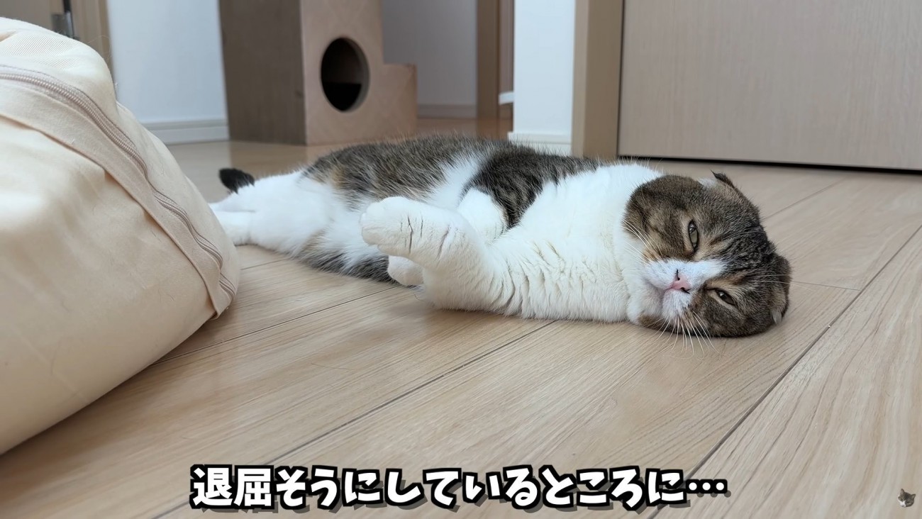 テロップ「退屈そうに～」