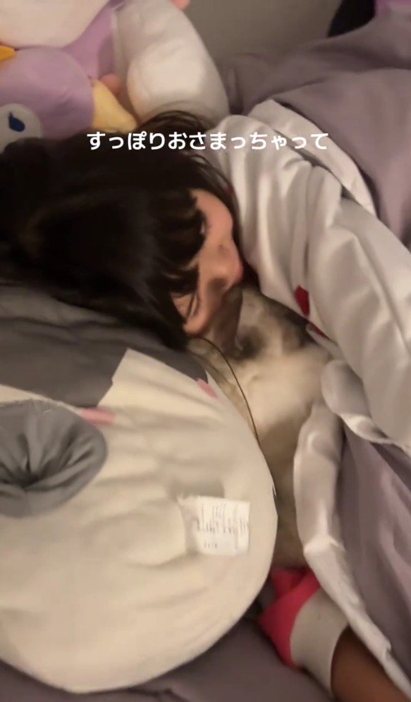 一緒に寝る猫と女の子