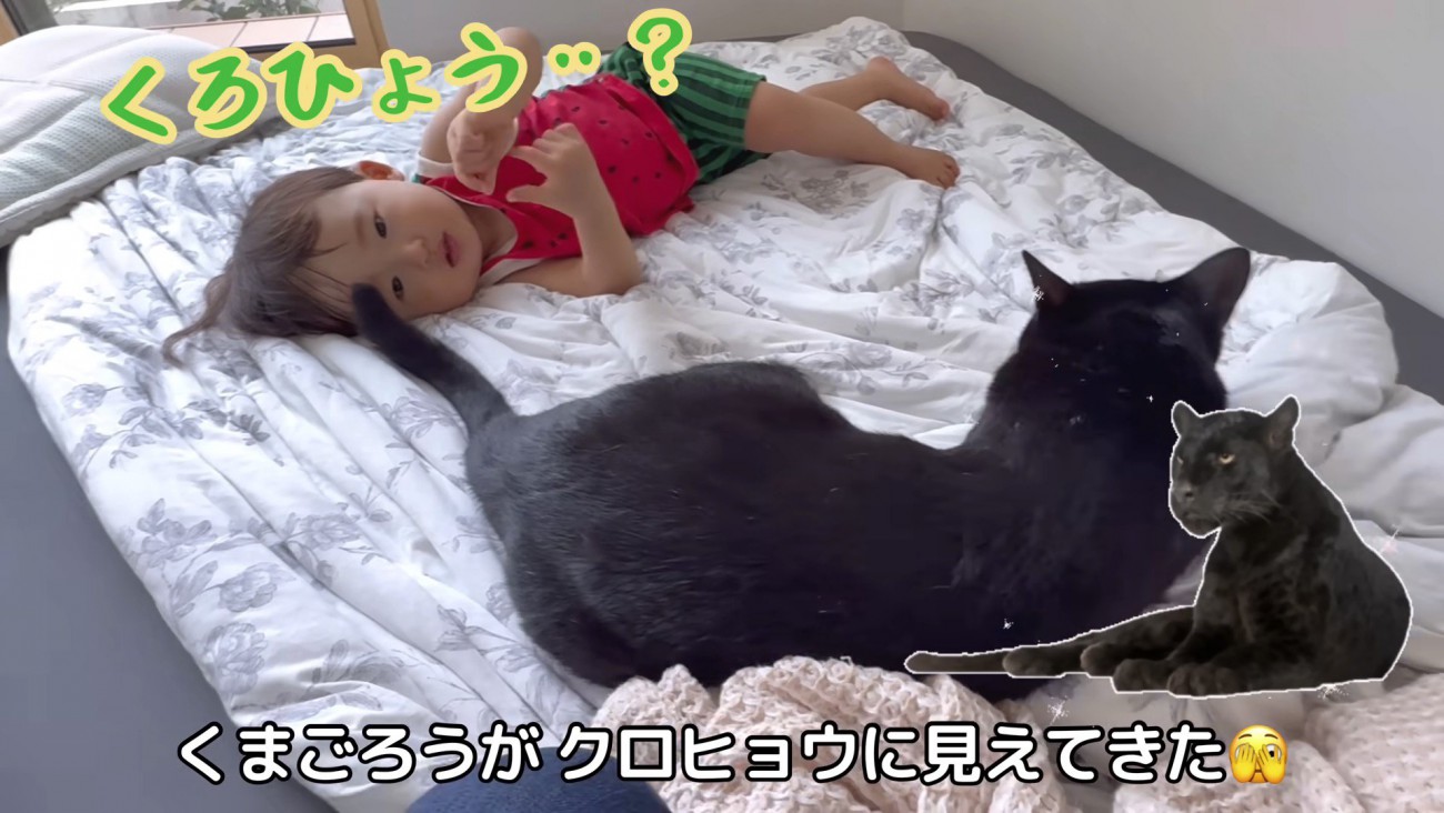 黒豹のようなくまごろう