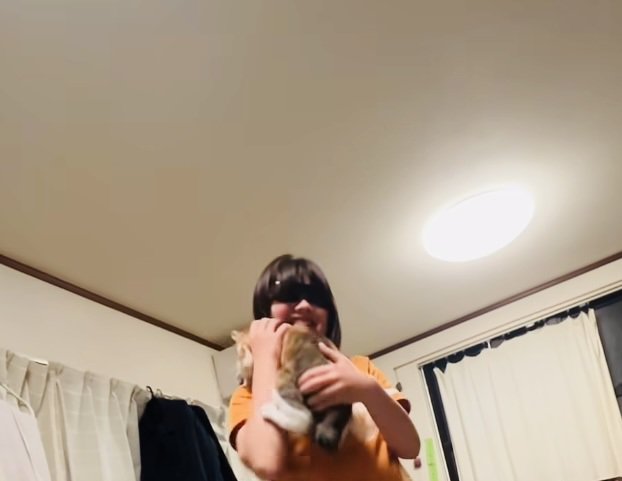 娘さんに抱っこされる三毛猫