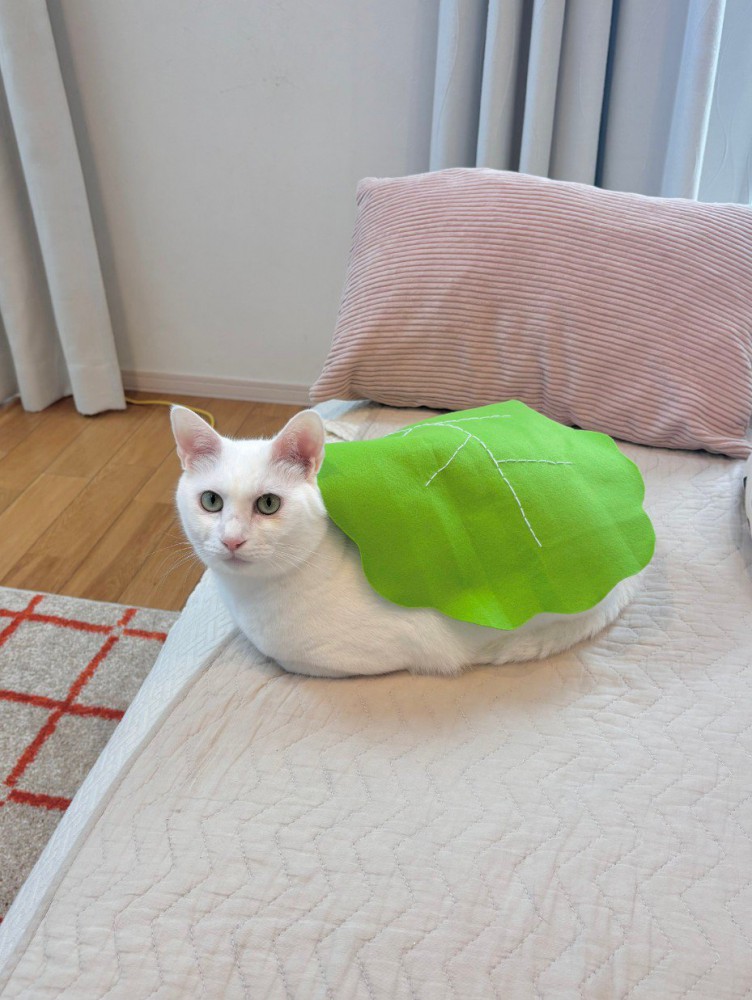 緑の布をまとった猫