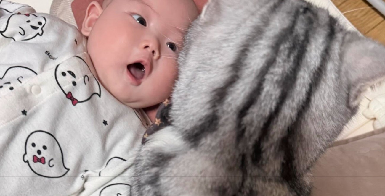 猫を見て驚く赤ちゃん