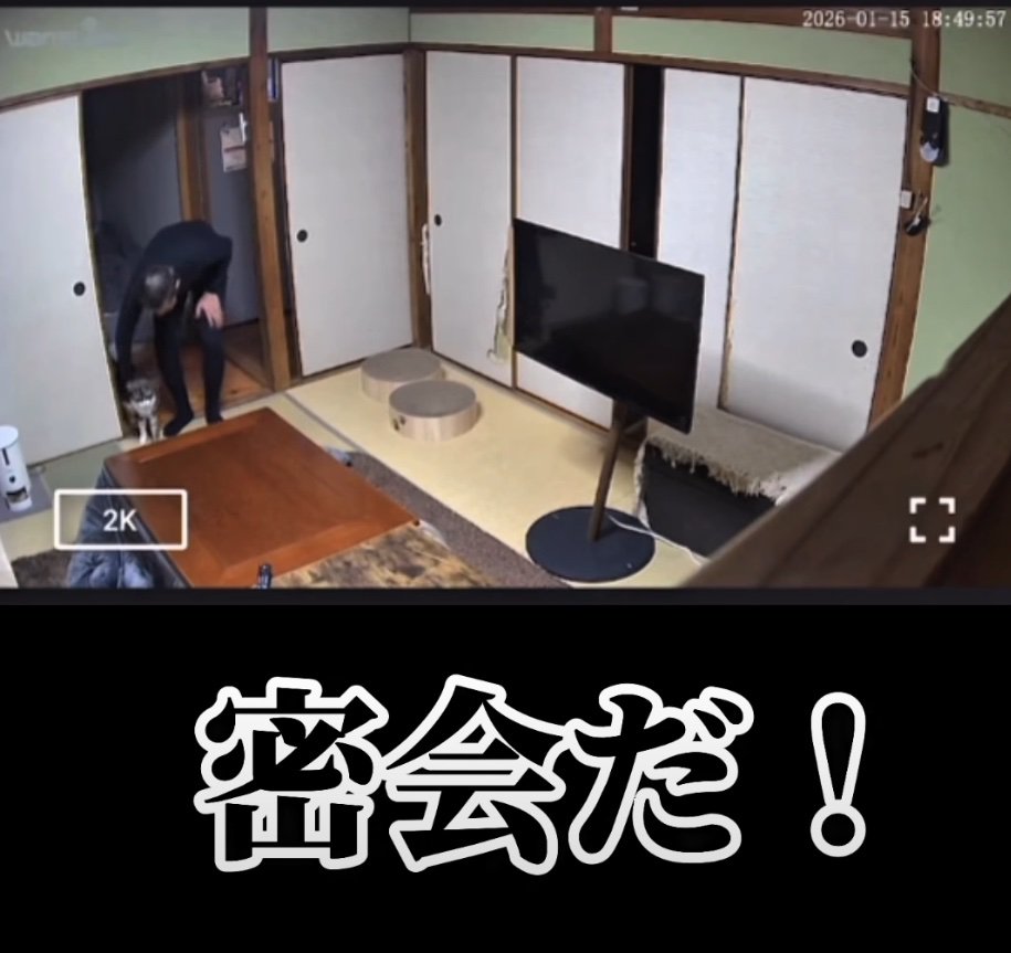 猫を抱き上げる男性