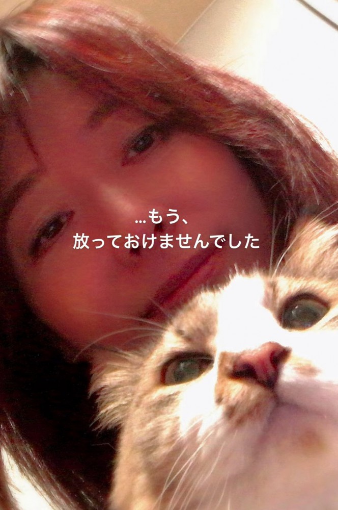 猫と人の写真