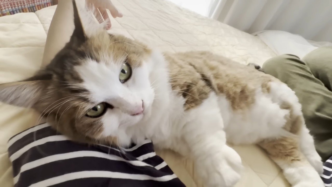 こちらを見ながら腕枕